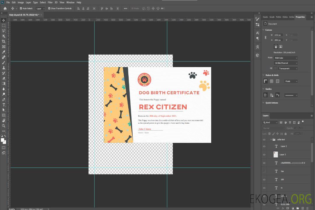 Acte de naissance d'un chien aux États-Unis template